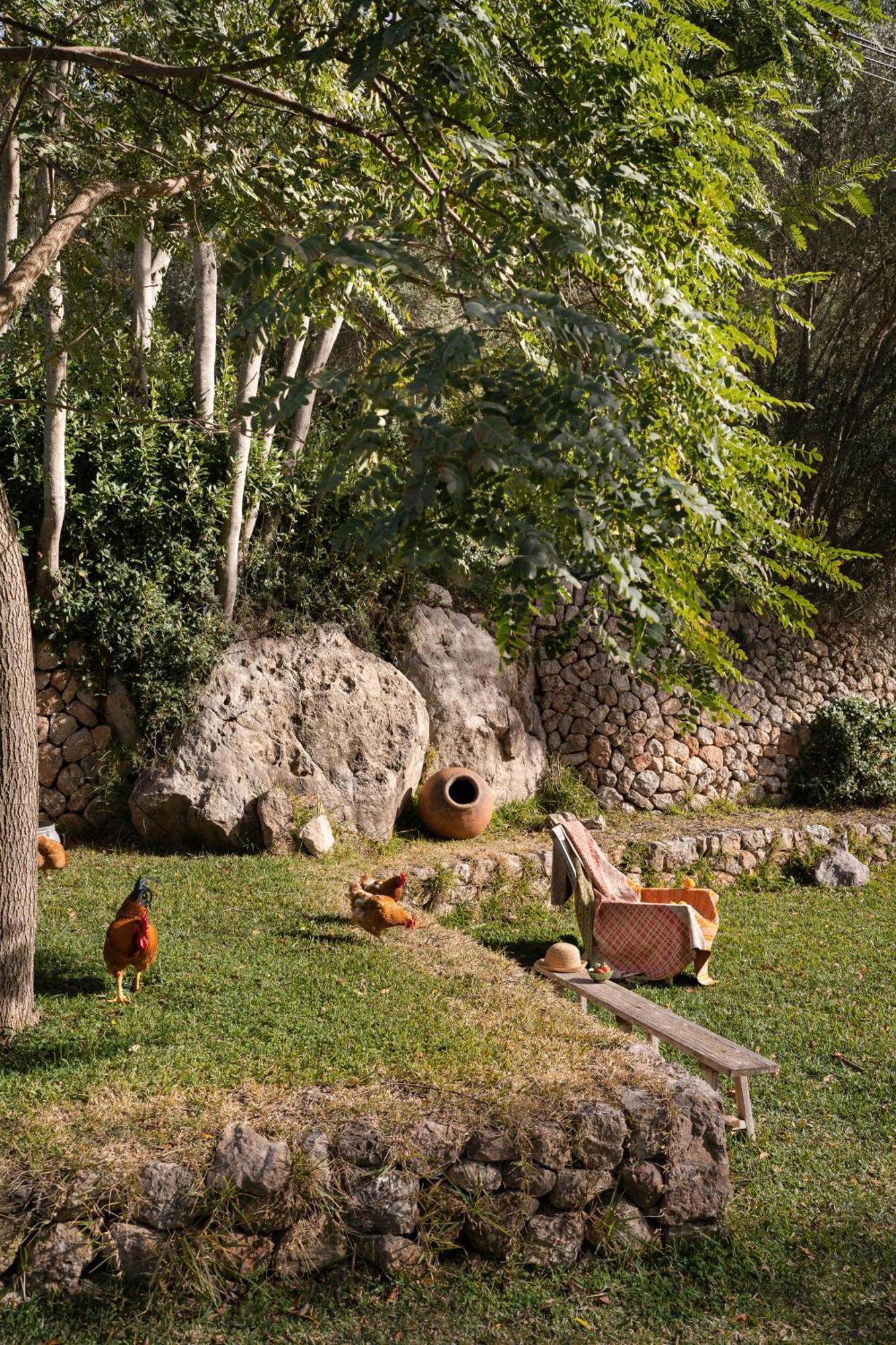 Agroturismo Son Viscos Valldemossa  Exterior foto
